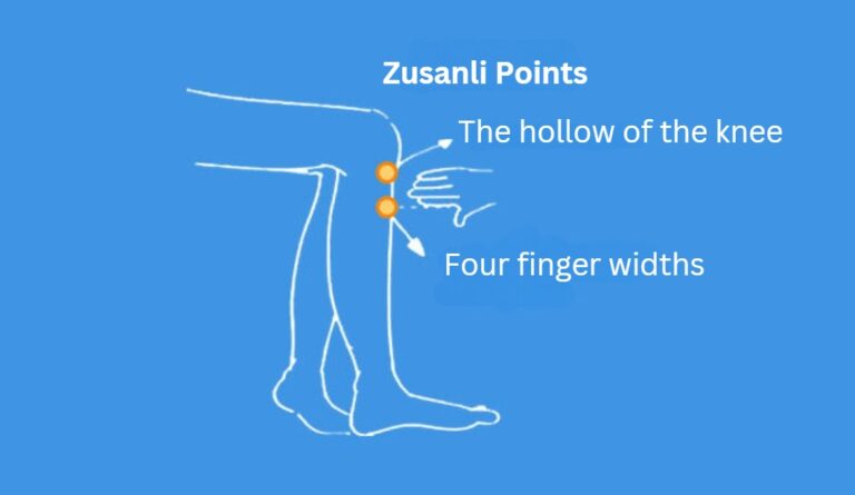 TCM Zusanli Points